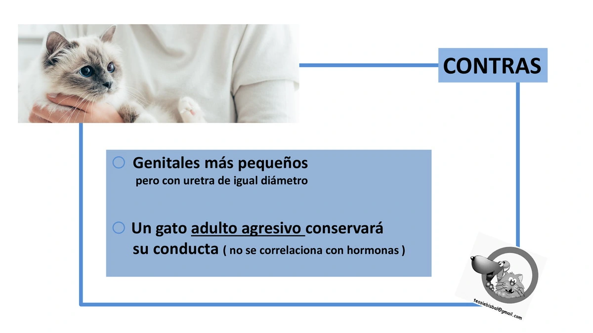 Castraciones tempranas 027