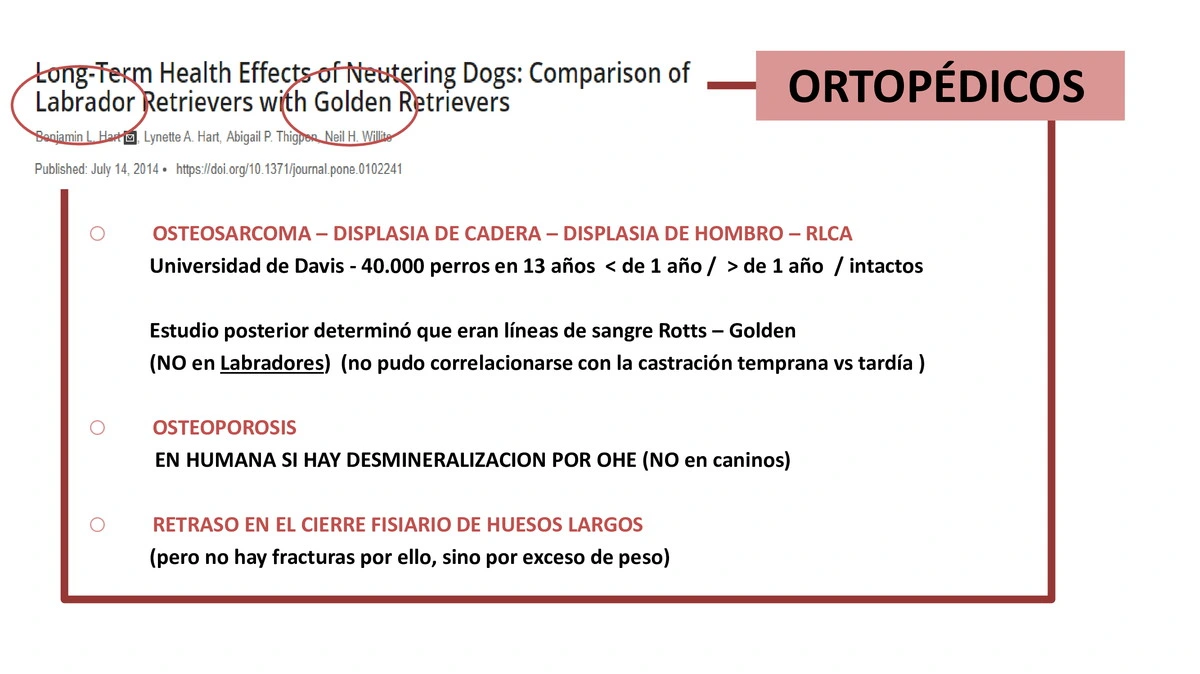 Castraciones tempranas 044
