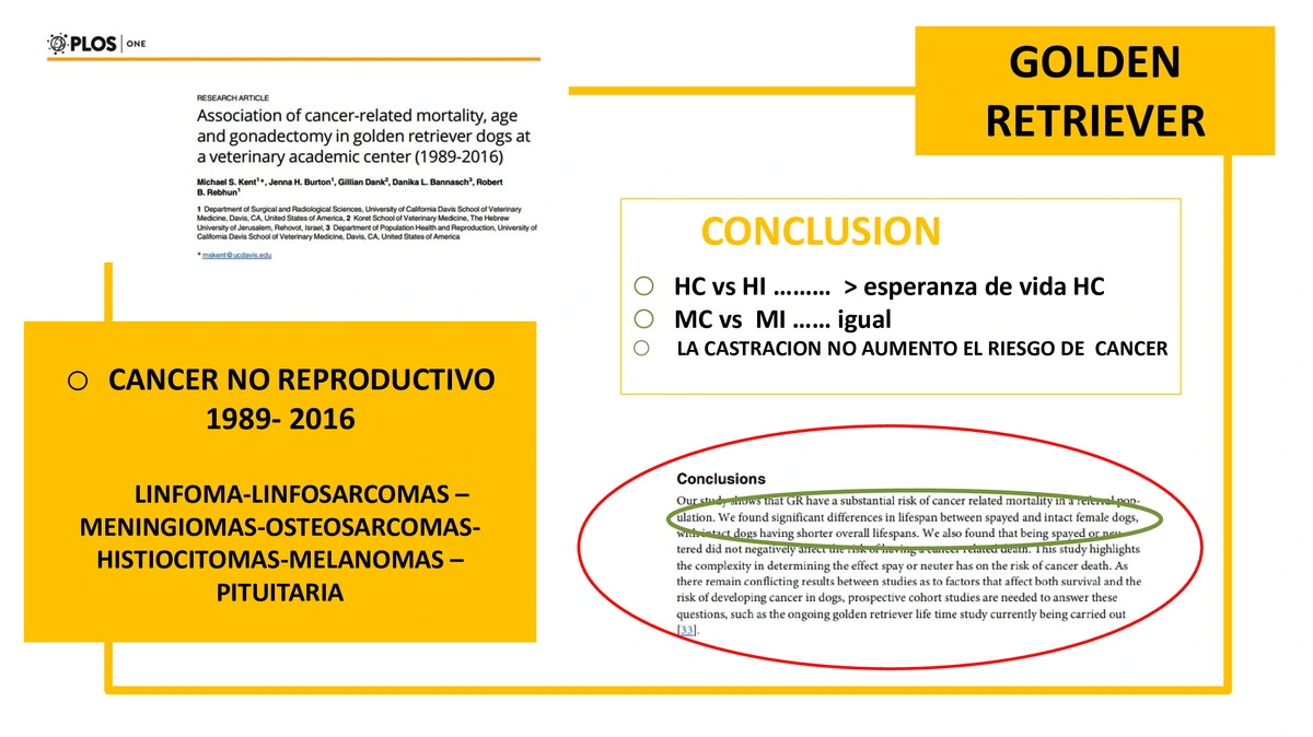 Castraciones tempranas 045