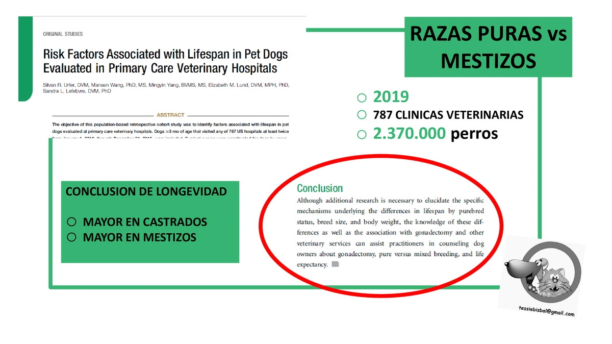 Castraciones tempranas 054
