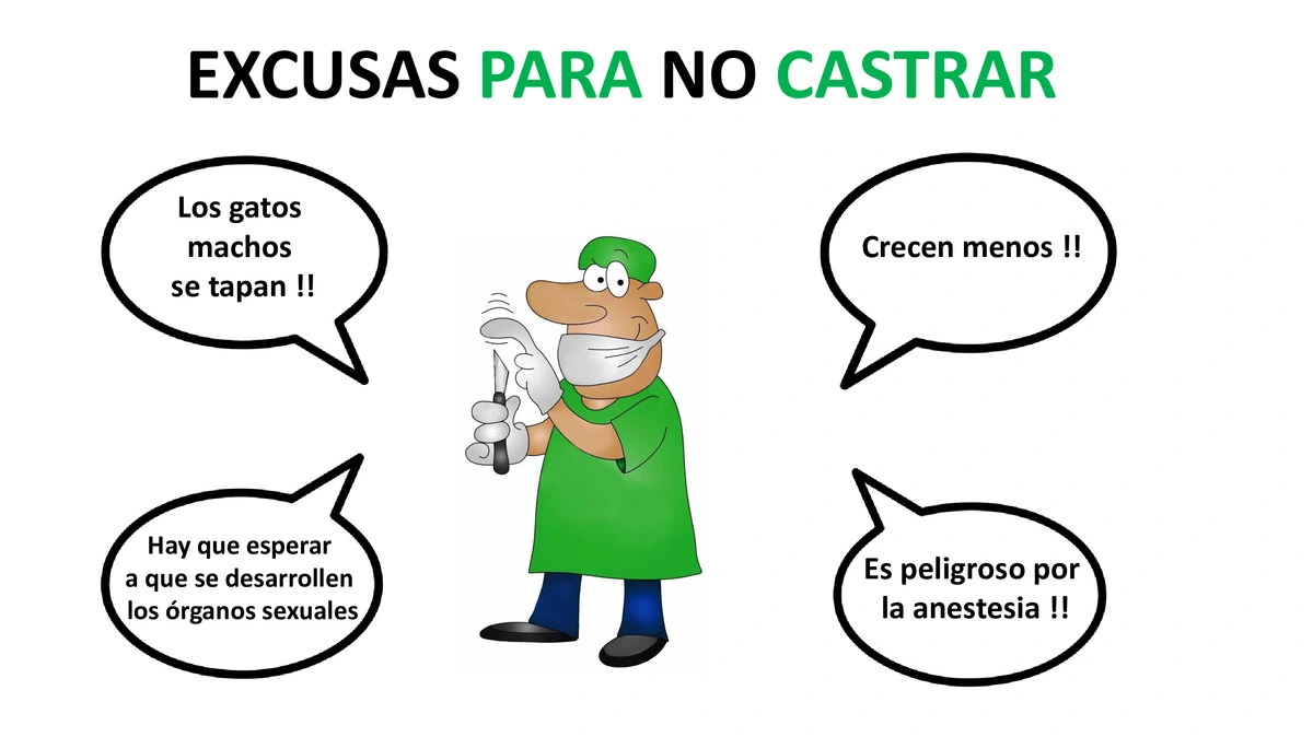 Castraciones tempranas 055