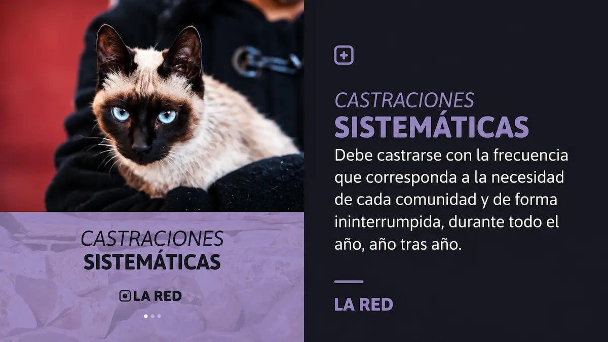 Castraciones sistemáticas