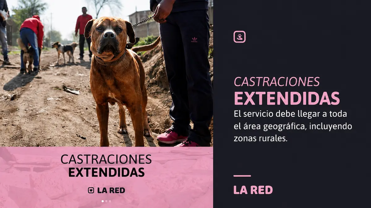 Castraciones extendidas