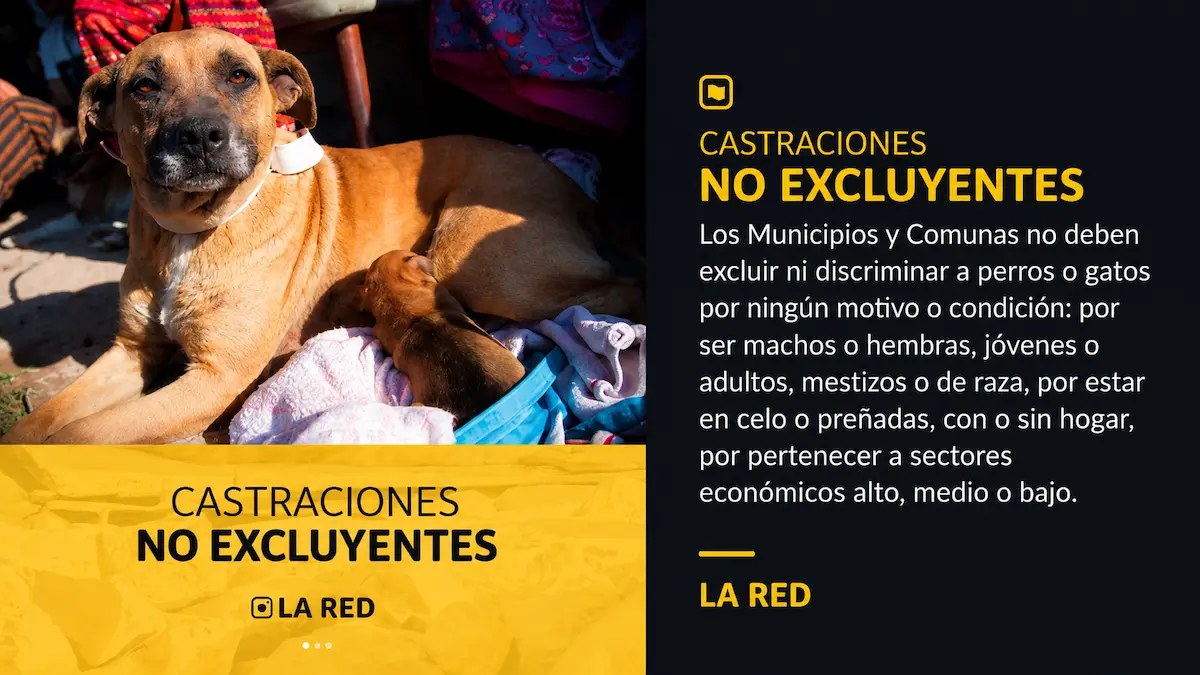 Castraciones no excluyentes