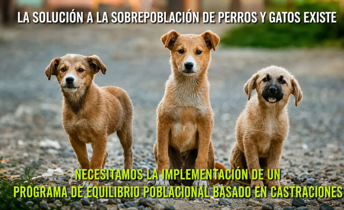 La solución a la sobrepoblación