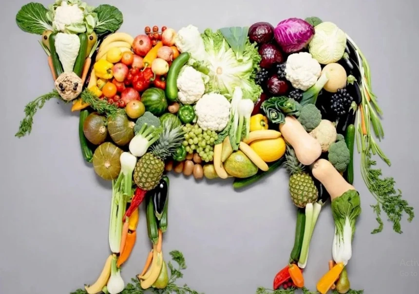¿Qué es el veganismo?