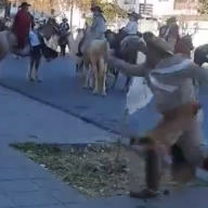 REPUDIO TOTAL: Brutal agresión a un perro durante el desfile en Salta